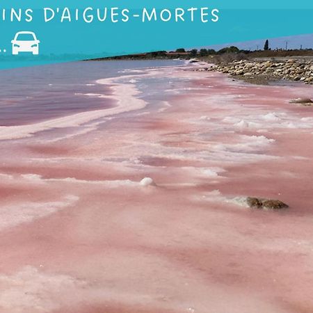 Apartmán Le Flamant Rose - Cosykaz Aigues-Mortes Exteriér fotografie