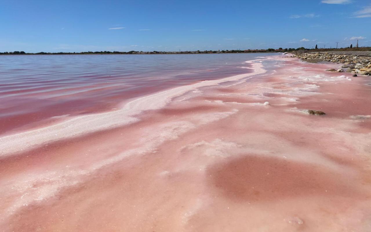 Apartmán Le Flamant Rose - Cosykaz Aigues-Mortes Exteriér fotografie